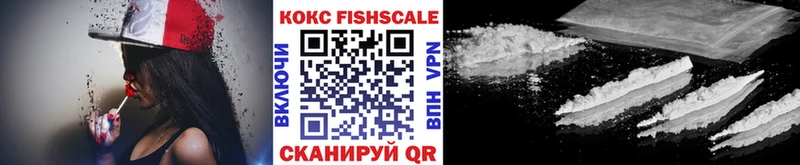 как найти наркотики  Химки  Cocaine Fish Scale 